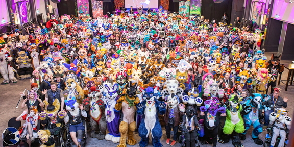 Scotiacon banner