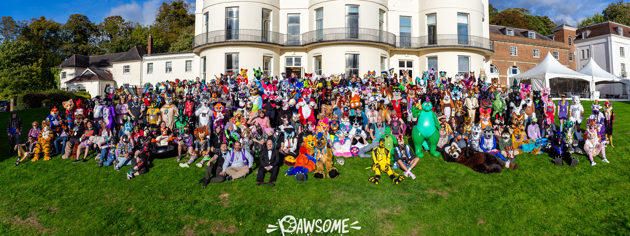 Pawsome banner